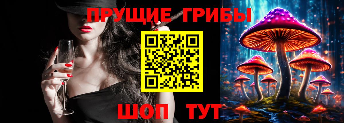 Галлюциногенные грибы Psilocybine cubensis Удомля