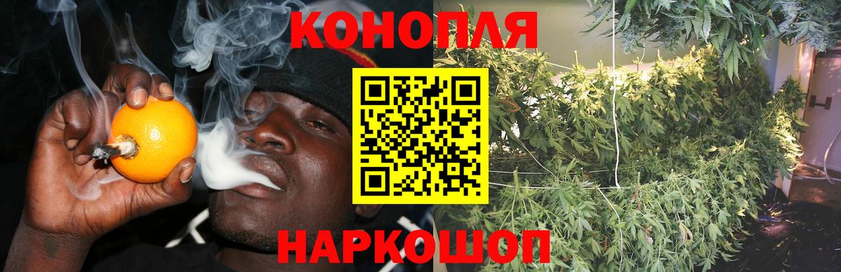 Бошки марихуана White Widow  Бошки марихуана Bruce Banner  Удомля  Марихуана план  Конопля AK-47  Вход с VPN 